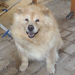 Meet your Posher, Victor